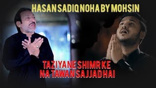Nohay 2018 - Taziyane Shimr Ke Na Tawan Sajjad Hai - Mohsin Hashmi New Noha - Hasan Sadiq Nohay 2018