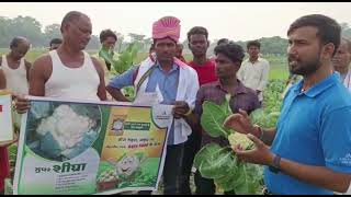 Cauliflower Super Sighra||Advanta golden seeds|| Farmer training program