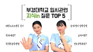 부경대학교 입시관련 지식IN 질문 TOP5 🤚