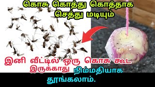 இனி கொசு தொல்லை வீட்டில் இல்லை அருமையான ஐடியா/natural mosquito repellent/kosu thollai poga tips