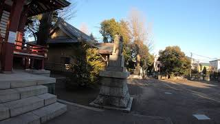 【日本の神社仏閣】柴又八幡神社を歩く