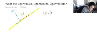 Eigenvectors, Eigenvalues, Eigenspaces Explained (Easy Explanation)