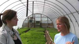 What is Community Supported Agriculture (CSA)?