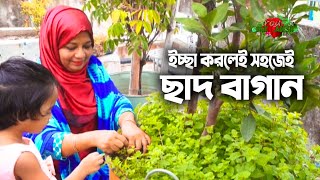 ছাদ বাগান|ছাদ বাগান করতে কি কি লাগে|ছাদ বাগানের পরিকল্পনা|শহরের ছাদ বাগান|Around the Bangladesh