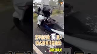 【生活】太平山大膽「貂」民！霸占機車 挖破座墊