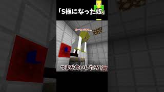 S極になった奴【マイクラ】＃Shorts