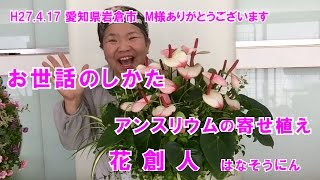 アンスリウム【観葉植物の寄せ植えギャザリング】お世話のしかた／岩倉市M様ご購入ありがとうございます／花創人はなそうにん岐阜愛知寄せ植えハンギングバスケット教室