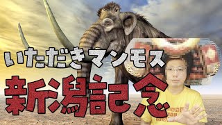 【新潟記念2021をいただきマンモス】LTP指数1位が2頭のレースは、ほぼ2着以内になっている【夏の終わりはこれに賭ける】