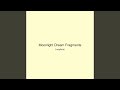 Moonlight Dream Fragments