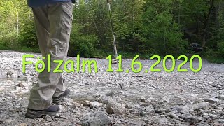 Wanderung auf die Fölzalm 2020-06-11