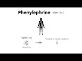 phenylephrine vasopressors u0026 inotropes