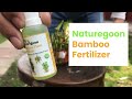 Lucky Bamboo Plant Food I Naturegoon I #bamboo #bambooplant #plantfood