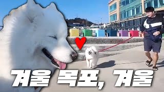 겨울이와 떠난 목포 원정 산책 (w.초승달)