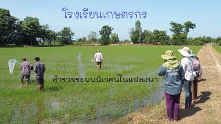 โรงเรียนเกษตรกร สำรวจแปลงนา