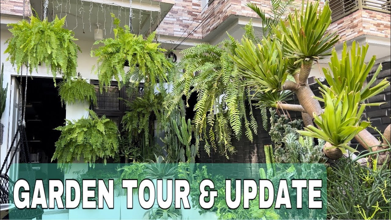 Garden Tour Updates Youtube