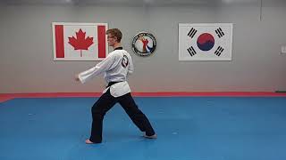 Brown Belt - Form 6(Front \u0026 Back)