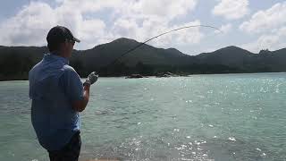 Brassy trevally flyfishing Seychelles diy