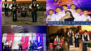 La Gallinita _ Tormenta Musical en Vivo