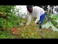 Harvesting and cooking flowers in clay pot||African Village cooking