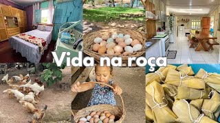 vida na roça 🪵Cuidei da casa e fizemos pamonha e cural de milho verde Vida na roça