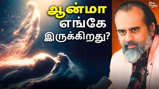 ஆத்மா: உடலை விட்டு போகாததும், நுழையாததும்! The Soul Never Leaves or Enters || ஆச்சார்ய பிரசாந்த்