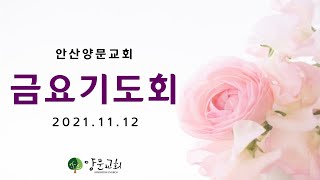 20211112 안산양문교회 금요기도회_살찐day