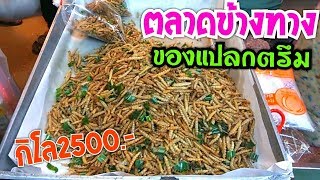 ตลาดนัดของแปลกข้างทาง ติดอันดับ1ใน10ของประเทศ ที่นักเปิบพิสดารต้องแวะ l Pai91.5