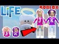 Roblox: Life (ALPHA) /  THE OBSTACLES OF LIFE!