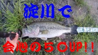 【バス釣り】淀川　ふじちゃんルドラで５０ＵＰ!!