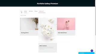 Portfolio Filter Gallery Wordpress Plugin