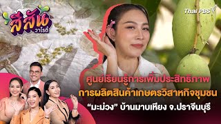 ศูนย์เรียนรู้ สินค้าเกษตรวิสาหกิจชุมชนมะม่วงบ้านมาบเหียง จ.ปราจีนบุรี | วันใหม่วาไรตี้