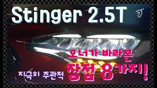 스팅어 2.5T 지극히 주관적 8가지 장점!! (오너가 생각하는~) eight advantages of Stinger 2.5T