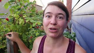 Permaculture Paradise Garden Farewell Tour