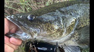 Murray Cod Fishing - 2026 Cod Opening