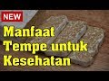 Manfaat Tempe untuk Kesehatan