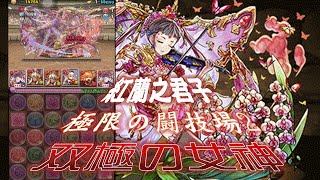 [ PAD (パズドラ) ] 紅蘭之君子 (紅蘭の君子・シャンメイ) vs 極限の闘技場2 双極の女神 By斷魂乂碎心