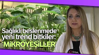 Sağlıklı Beslenmede Yeni Trend Bitkiler; ‘Mikroyeşiller’