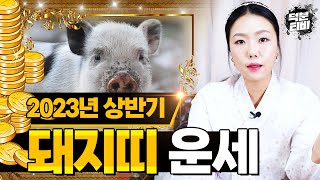 미리보는 2023년 상반기 대박 돼지띠운세🐷 2023년에는 돼지띠에게 어떤 좋은 소식이 있을까?? 을해생,계해생,신해생,기해생,정해생은 주목! 결혼운과 문서운이 보인다👍