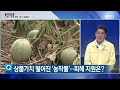 집중인터뷰 폭우 피해 청양 복구 상황은 kbs 뉴스7 대전 세종 충남 08월 25일 목