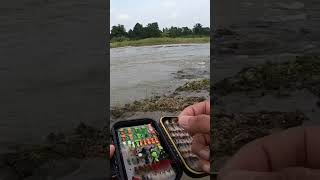 ฟลายฟิชชิ่งเหยื่อที่ใช้ตกแม่น้ำ #like #subscribe #true #fishing #ตกปลา