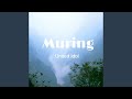 Muring