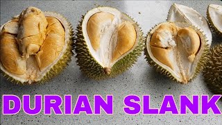 DURIAN SLANK DARI DESA SIMPANG GONG, BANGKA BARAT