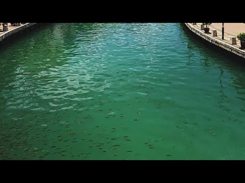 Sungai Melaka Air Jernih Youtube