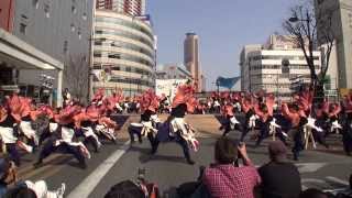 東京理科大学Yosakoiソーラン部（第14回浜松がんこ祭 浜よさ2014 ヤマハ前ステージ） ２日目