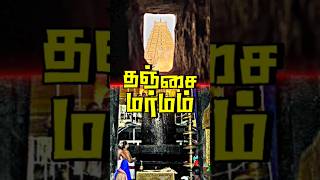 தஞ்சாவூர் கோவிலின் 10 மர்மங்கள் #shorts #vigneshranganathan #historyteller #59secstamil