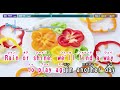 【英語ver.】パプリカ／foorin team e【カラオケ】｜ videoke paprika english ver. foorin team e