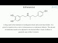 dobutamine english medical terminology for medical students