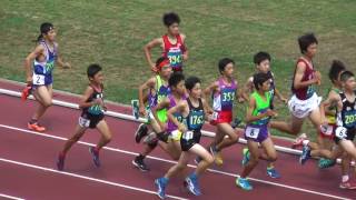 H29　千葉県中学総体　1年男子1500m　決勝