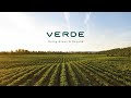 Carbon Farming through Regenerative Practices with Verde