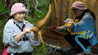 The lonely life of a young single mother: harvesting cassava and wild vegetables to eat